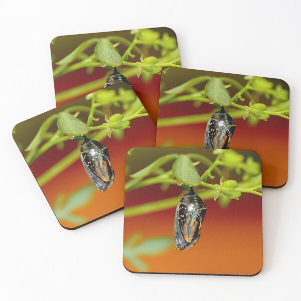 Item preview, Vibrant Monarch Butterfly Chrysalis designed and sold by BRENDA DOHERTY.