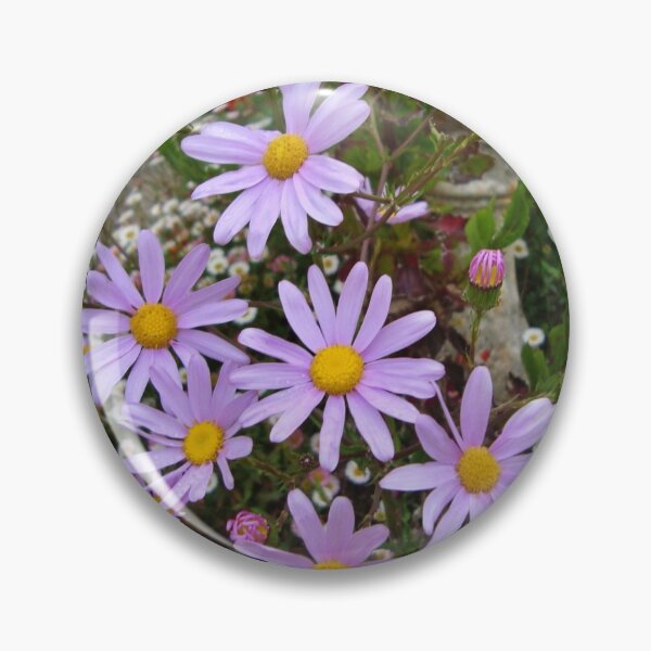 Item preview, Aster - Tresco Abbey Gardens designed and sold by niki2028.