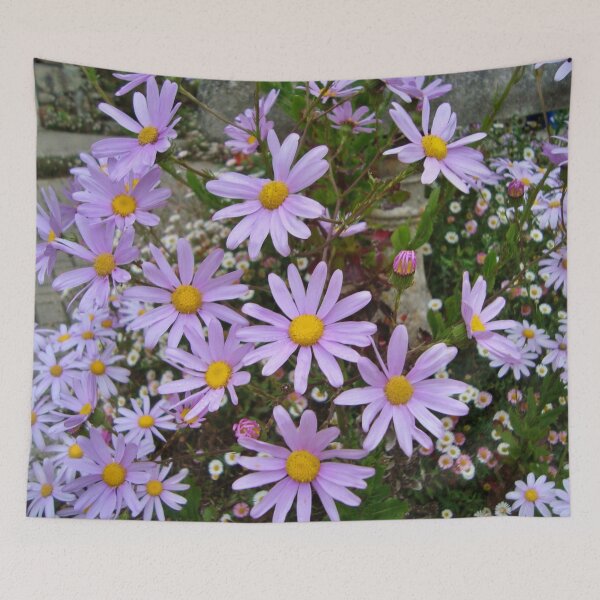 Item preview, Aster - Tresco Abbey Gardens designed and sold by niki2028.
