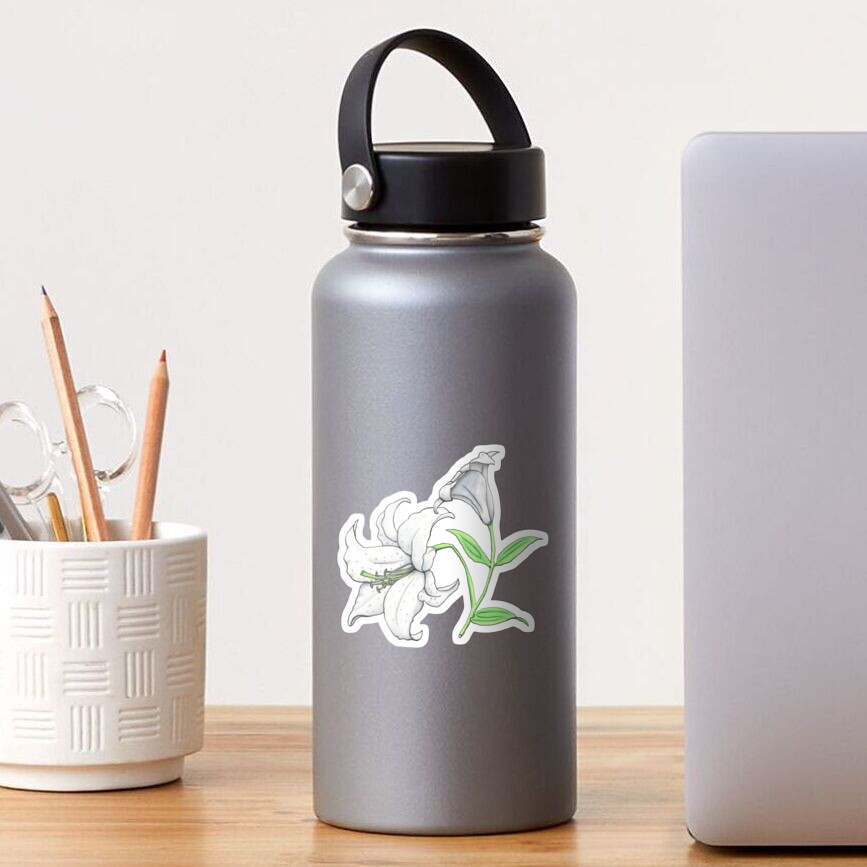 Lily (Lilium x cultorum 'Casablanca') Sticker