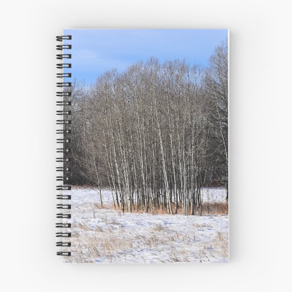 Item preview, Winter. designed and sold by CanadianWild418.