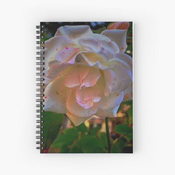 White roses on a Blue sky By Yannis Lobaina Spiral Notebook