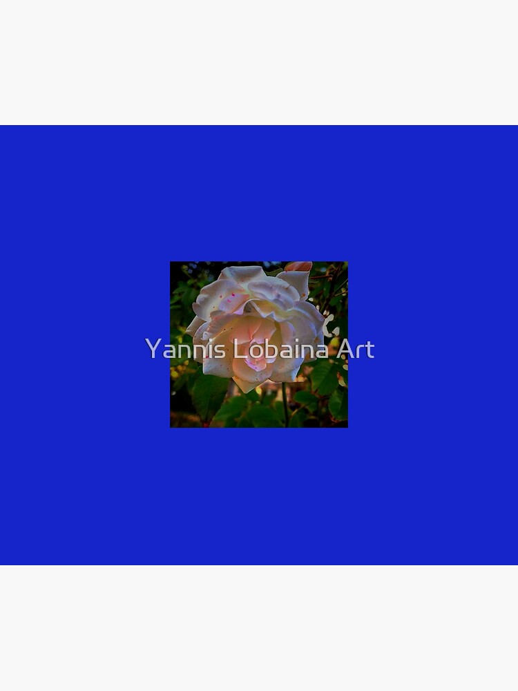 White roses on a Blue sky By Yannis Lobaina by lobaina1979