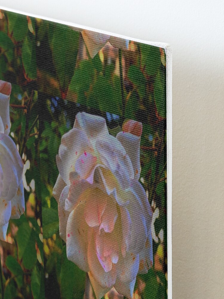 Alternate view of White roses on a Blue sky By Yannis Lobaina Mounted Print