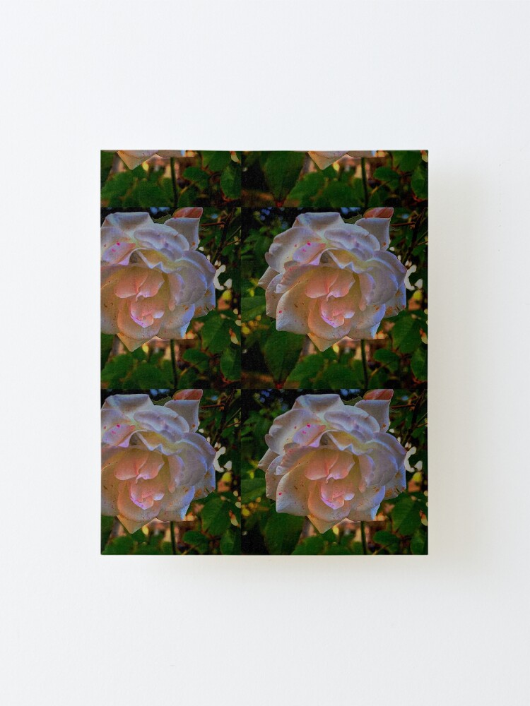 Alternate view of White roses on a Blue sky By Yannis Lobaina Mounted Print