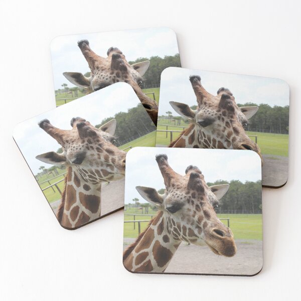 Item preview, Where's the Food? designed and sold by gabygirl812.