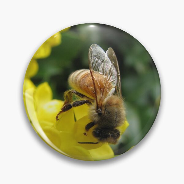 Item preview, Honey Bee on Yellow Flowers designed and sold by JenJoiner.