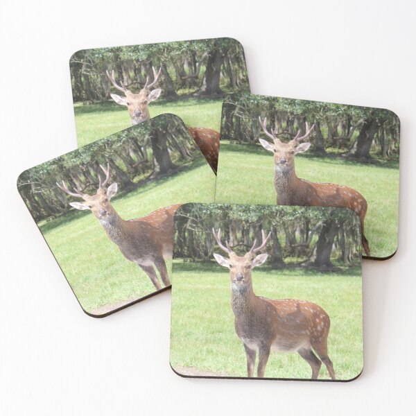 Item preview, Deer in the Headlights designed and sold by gabygirl812.