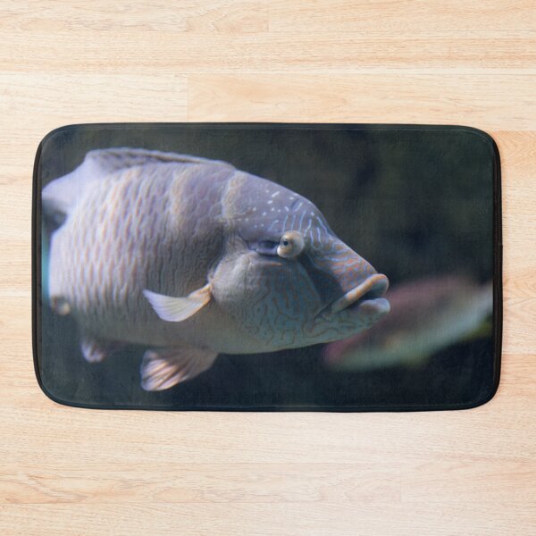 Item preview, A big fish designed and sold by Zina Stromberg.