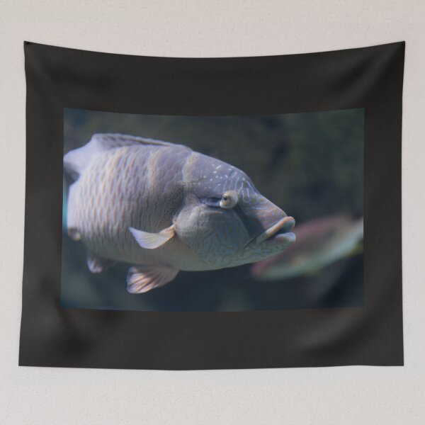Item preview, A big fish designed and sold by Zina Stromberg.