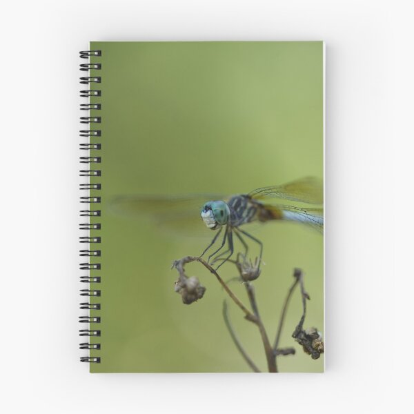 Item preview, The Happiest Little Dragonfly - Side View designed and sold by acwb.