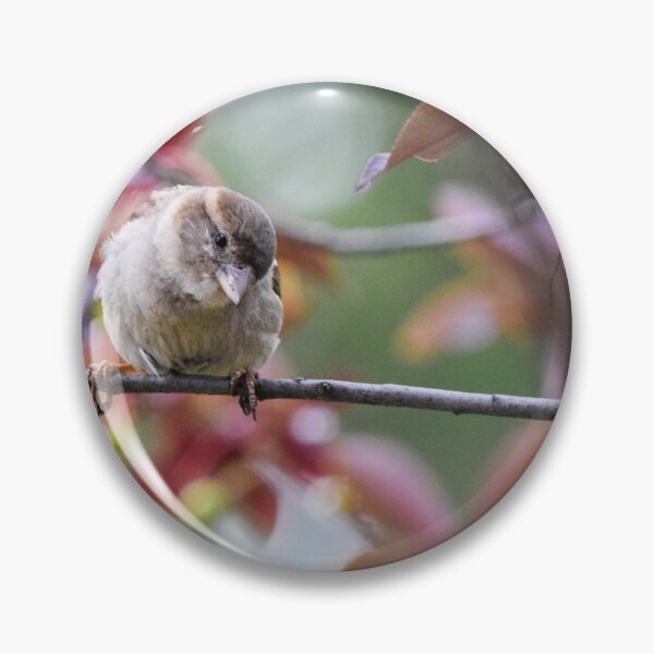 Item preview, Bird Perched on a Branch. designed and sold by CanadianWild418.