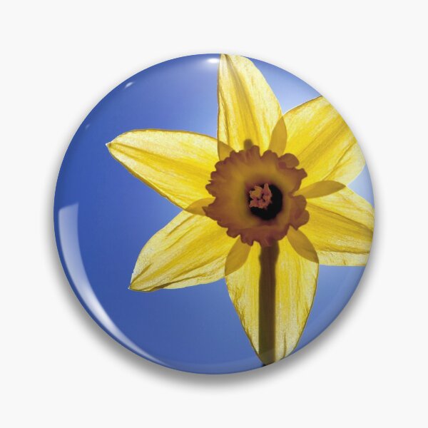 Item preview, Daffodil designed and sold by petewelsby.