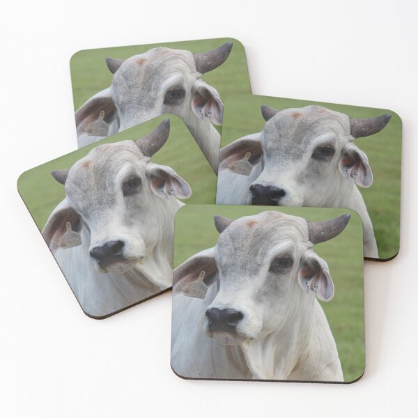Item preview, Wrinkly Cattle designed and sold by gabygirl812.