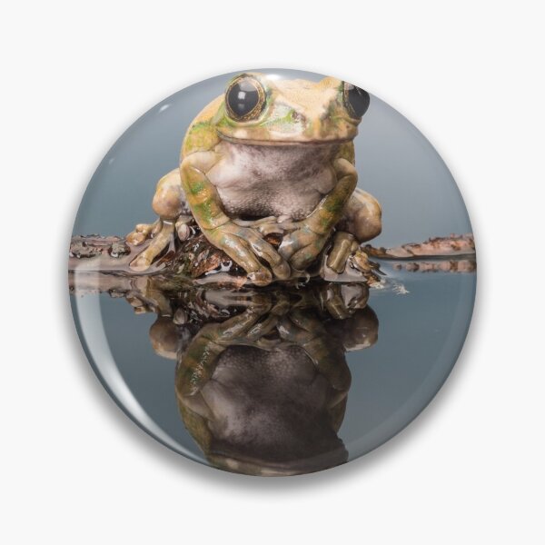 Item preview, Frog Reflecting designed and sold by petewelsby.