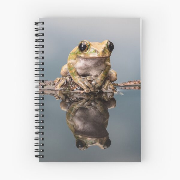 Item preview, Frog Reflecting designed and sold by petewelsby.
