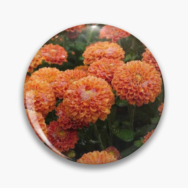 Item preview, Fall mums  designed and sold by mkwirfs1994.
