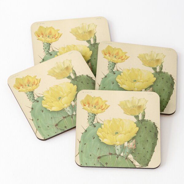 Artikelvorschau, Die Cactaceae aus der Biodiversity Heritage Library entworfen und verkauft von Douglas E. Welch Design and Photography.