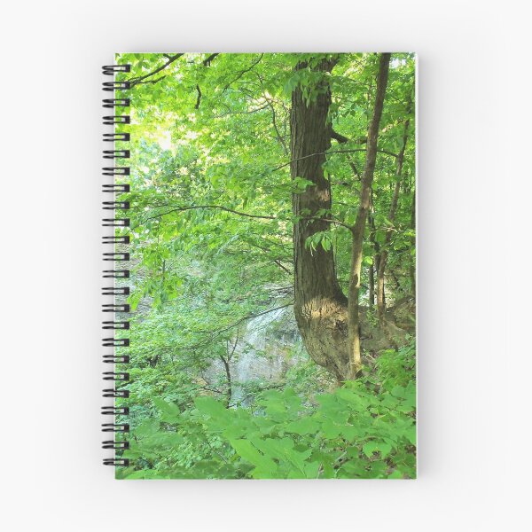 Aperçu de l'œuvre Forêt et cascade créée et vendue par Mind2Line.