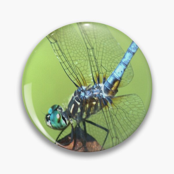 Item preview, Dragonfly designed and sold by Kim McClain Gregal.