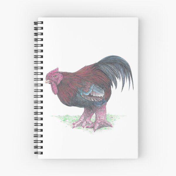 Item preview, Dong Tao chicken with painted toenails designed and sold by JimsBirds.