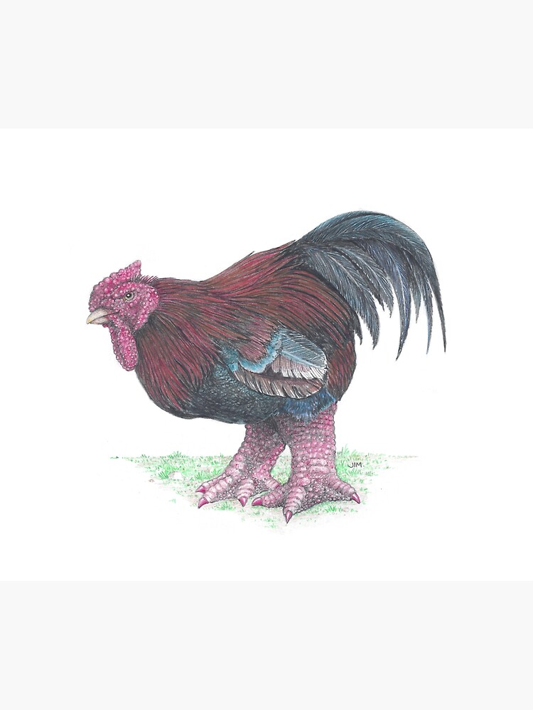 Dong Tao chicken with painted toenails by JimsBirds