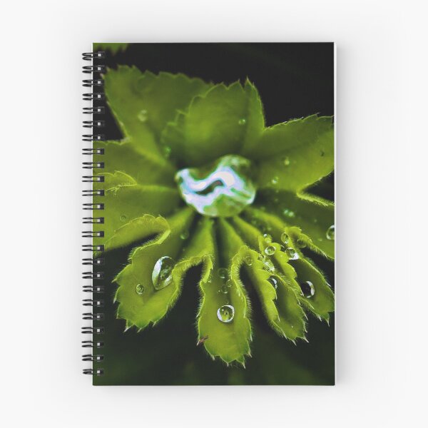 Item preview, leaf with raindrops designed and sold by ADM Photography.