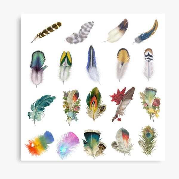 Item preview, Feather designed and sold by rejebolla.