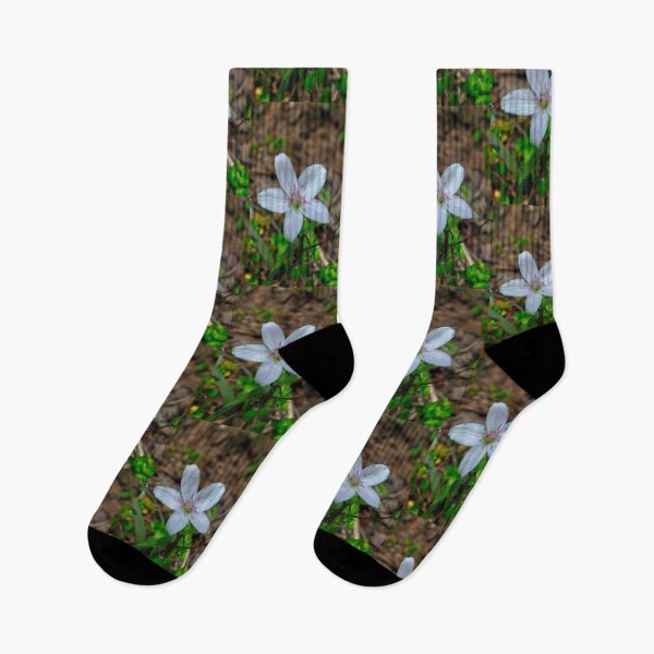 Item preview, Woodland Wildflower designed and sold by michaelasamples.