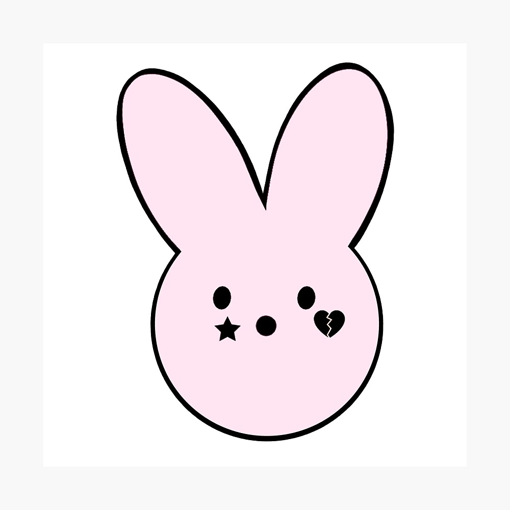 lil peep bunny teddy