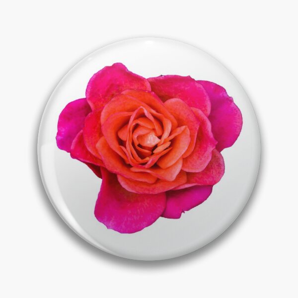 Item preview, Pink Rose designed and sold by C.T. Photography.