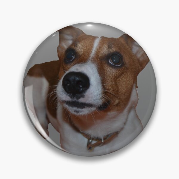 Item preview, Jack russell terrier designed and sold by C.T. Photography.