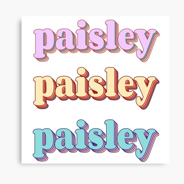 Paisley Aesthetic Canvas Prints Redbubble