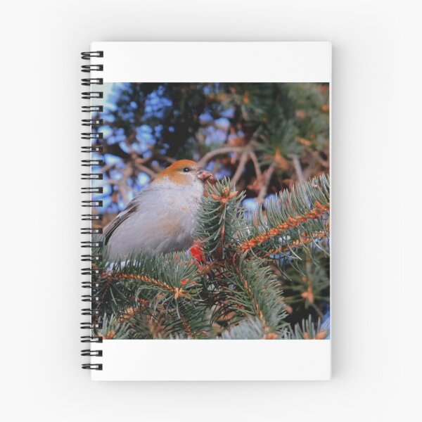 Item preview, Female Pine Grosbeak designed and sold by Larry Trupp.
