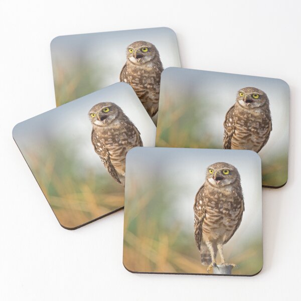 Item preview, The Morning Call designed and sold by Sue  Cullumber.