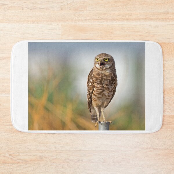 Item preview, The Morning Call designed and sold by Sue  Cullumber.