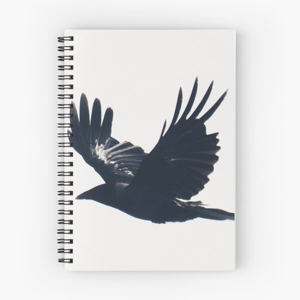 Item preview, Cantick crow designed and sold by Alan Mackinnon.