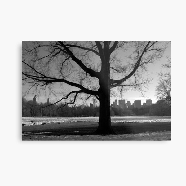 Growing Strong Metal Print