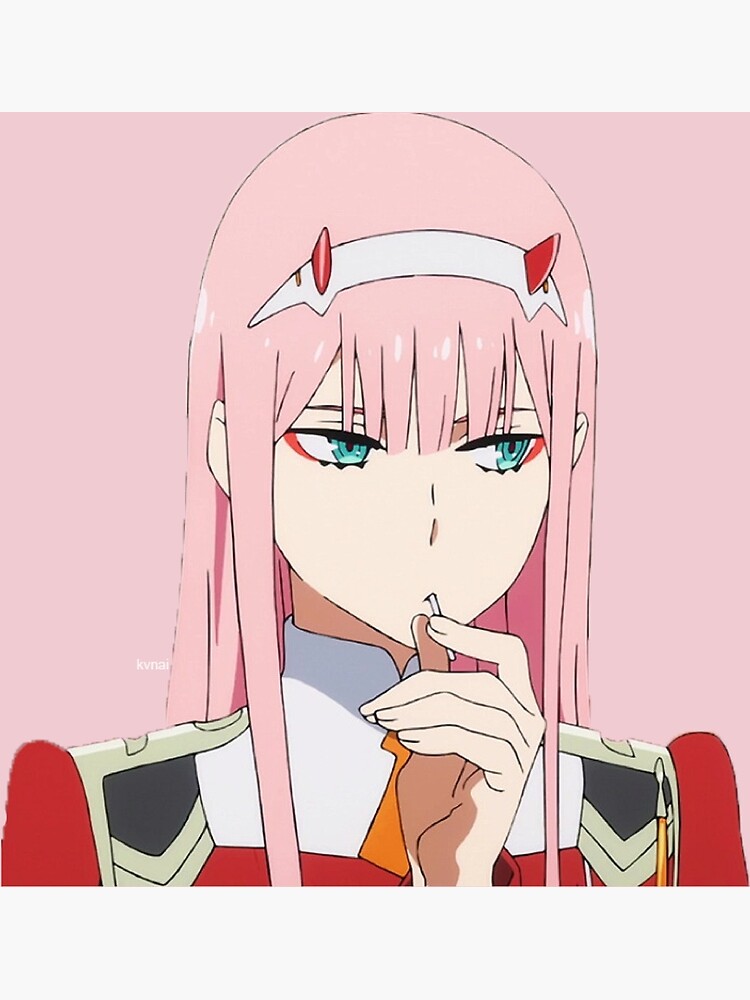 Darling In The Franxx Zero Two Darling In The Franxx Anime Girls Pink Hair  Matte Finish Poster Paper Print - Animation & Cartoons posters in India -  Buy art, film, design, movie