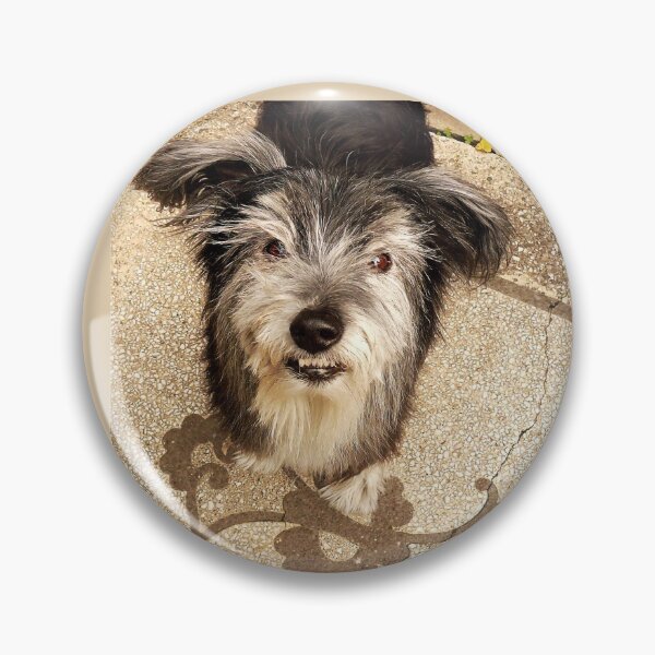 Item preview, You talkin' to me? designed and sold by Roz McQuillan Fine Art & Photography.