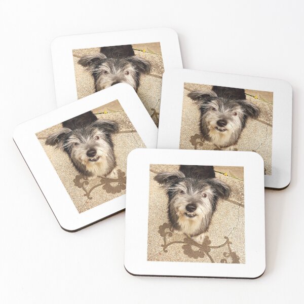 Item preview, You talkin' to me? designed and sold by Roz McQuillan Fine Art & Photography.