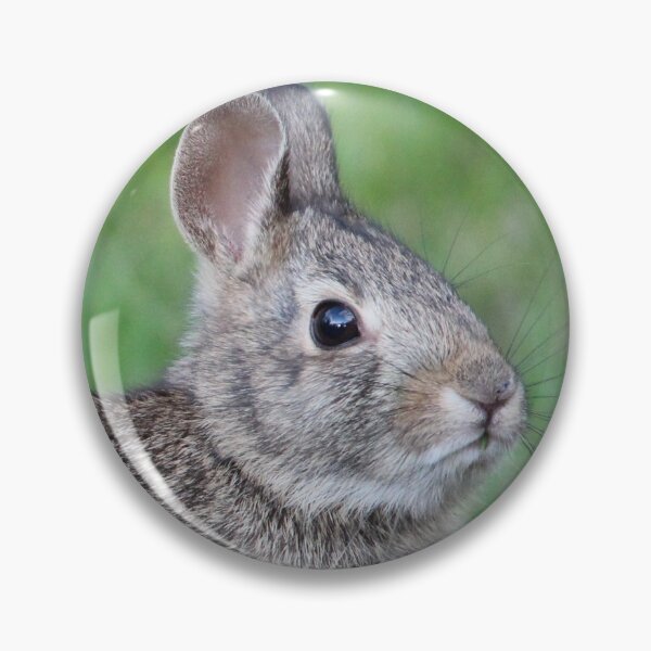 Item preview, Bunny 3 designed and sold by Susie Kramer.