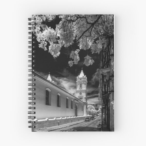 Item preview, The Cathedral in Panama designed and sold by Bernai Velarde.