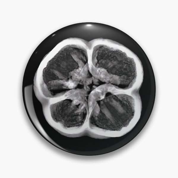 Item preview, Xray of Bell Pepper, Original on Black designed and sold by xrayjessie.