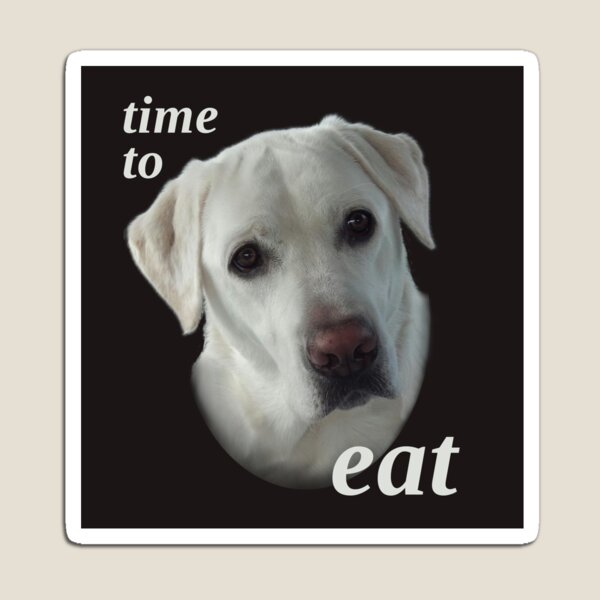 Time to Eat Magnet