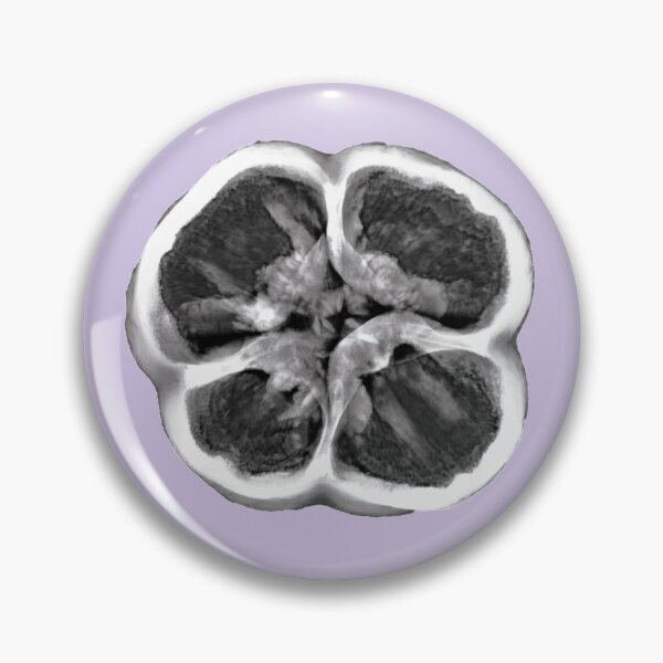 Item preview, Xray of Bell Pepper, Original on Periwinkle designed and sold by xrayjessie.