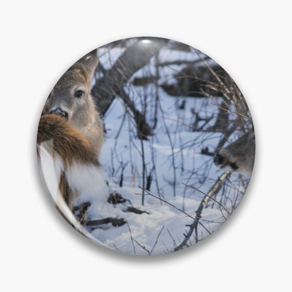 Item preview, White Tailed Deer. designed and sold by CanadianWild418.