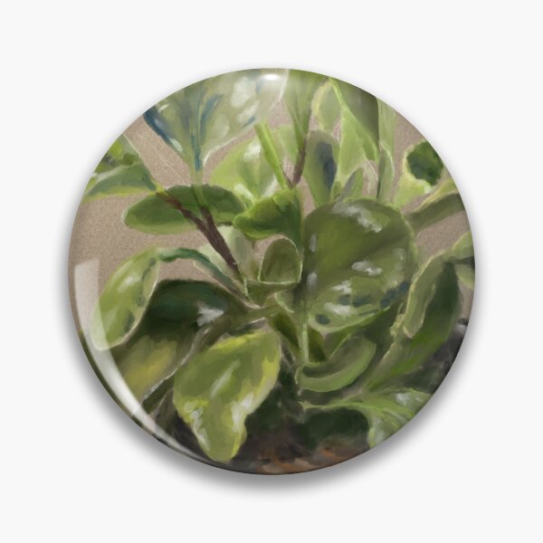 Item preview, Peperomia obtusifolia variegata  designed and sold by Jennie Kessinger.