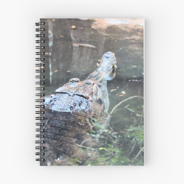 Item preview, LURKING GHARIALS designed and sold by BOLLA67.