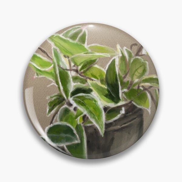 Item preview, Hoya Carnosa Krimson Queen designed and sold by Jennie Kessinger.